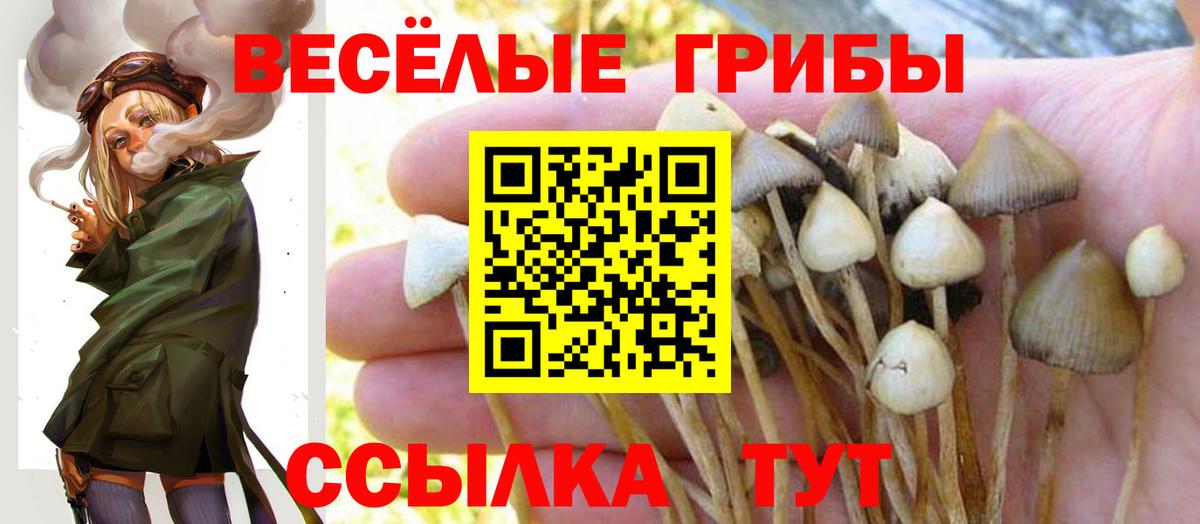 Амурск  Галлюциногенные грибы MAGIC MUSHROOMS  Галлюциногенные грибы GOLDEN TEACHER  Вход с VPN 